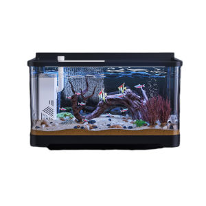 KUOTING | Ecological Integrated Aquarium with Lighting Scenery and Filtration
