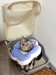 Cat Dog Pet Elizabeth Soft Cute Flower Design Adjustable Neck  Cotton E-Collar With Cute Pattern Donut Pet Kucing