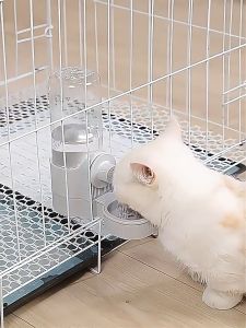 Cat hanging automatic feeder large capacity pet food dispenser Hanging water bottle and food bowl