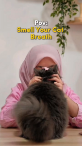 EZPET Pen Berus Gigi Haiwan 2-dalam-1 Berus Gigi Kucing & Anjing Ubat Gigi Penjagaan Gigi & Kesihatan Mulut 2-in-1 Pet Tooth Cleaning Pen Pet Toothbrush Cat Dog Toothbrush Toothpaste Dental Care Oral Hygiene 狗牙膏 猫牙膏 宠物牙刷 宠物牙膏