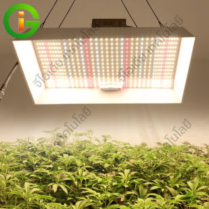 Samsung LM281B แสงการเจริญเติบโตของพืชสเปกตรัมเต็มกันน้ำสามารถปรับไฟการเจริญเติบโตของพืช LED 100W/150W/300W/450W ที่เหมาะสำหรับพืชในร่มและกลางแจ้ง