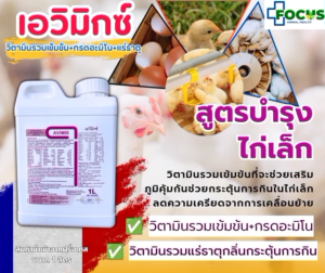 เอวิมิคซ์ เพิ่มกล้ามเนื้อเพิ่มการโต