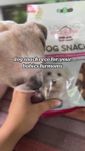 270g 30pcs Howbone How Bone Dog Snacks Dog Treats Dog Food All Stages Adult Puppy