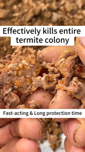 Japan Termite Extermination Spray 500ml Anay Killer Spray Termite Spray Kill Prevention 2 in 1