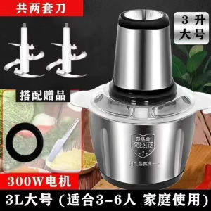 Large Capacity 5L Stainless Steel 304 Automatic Home Use Meat Grinder Garlic Paste Vegetable Grinding Machine FZY-20250819