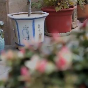 BMC Home watering can long spout hand-held plastic watering can gardening tools large capacity watering can T1014
