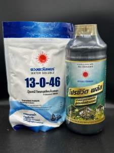 เซตเปิดตาดอกประหยัดงบ(โปรซีวีดพลัส 1ลิตร + ปุ๋ยเกร็ด13-0-46 1กก.)