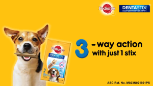 Pedigree DentaStix Medium (Dog) Snack Dental Stick Treat 344G