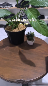 Footwear Pantofel Tali Pria Oxford Nukus Kulit Hitam - TL 02