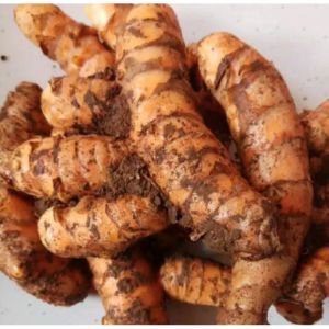 Kunyit Segar 500 Gram Kunir Segar Bumbu Dapur Kunyit Kuning Segar 500gr