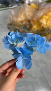 Sỉ Nhánh Tú Cầu Lụa - Hoa Giả Hoa Lụa Trang Trí