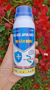 [THIEN THINH SHOP] KING-CIDE JAPAN 460SC Chai 240ML Của Sinochem-Trừ Nấm Bệnh Phổ Rộng như Thán Thư Sương Mai Đạo Ôn