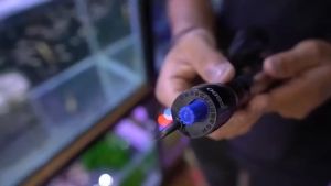 HEATER STAINLESS NIKITA STAR 25 Watt - Pemanas Suhu Air Aquarium 25W