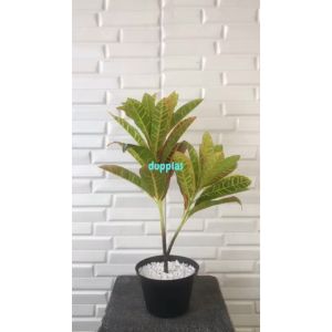 Pohon Plastik Puring Worten X2 T50 Semi Latex Artificial Pot Dasar Hitam Plastik Tanaman Hias Dekorasi Rumah
