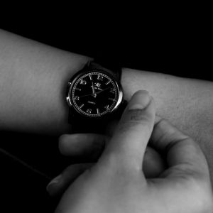 PhiLipe Ricci Jam Tangan Wanita Besi Rantai Analog Terbaru WPR13 Free Box