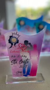 Plaque Double Insert Blank Acrylic Clear / Transparent Trophy Awards