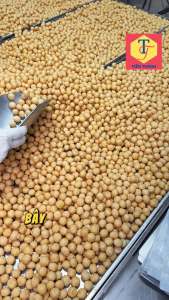 Bánh nhãn hải hậu 💥𝑭𝒓𝒆𝒆𝑺𝒉𝒊𝒑 +Hàng Loại 1💥 200G TT siêu ngon giòn xốp Kẹo nhãn đặc sản nam định thương hiệu bán