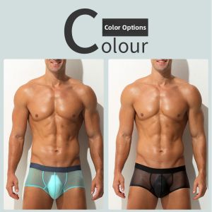 AEEEYEEE | Ice Silk Seamless Lightweight Transparent Briefs