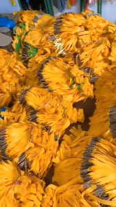 (ร้านไทย) ขายส่งราคาถูกสุด ยางแบน 10 เส้น สูตร 20 12 150 มม. ยางชุด ยางสำเร็จ รหัส HT-512 ขนาด 0.75 มม. สีเหลือง