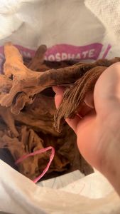 Driftwood Kayu Akuarium Hiasan Fish Tank aquarium/aquascape/paludarium/terrarium Nano Tank S size