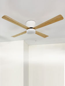 High Wind Power Ceiling Fan Light Nordic Style Bedroom Dining Room Remote Control Inverter Fan Light 1200mm Diameter 6 Speeds