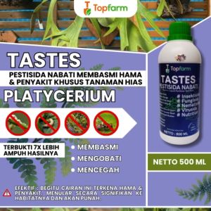 Obat Semprot Daun Tanduk Rusa / Obat Tanduk Rusa Terbaik / Obat Tanaman Hias Platycerium / Obat Platycerium Hili Papuanum / Obat Platycerium Wandae Papua / Obat Tanaman Platycerium Wandae Papua Bibit / Obat Daun Platycerium
