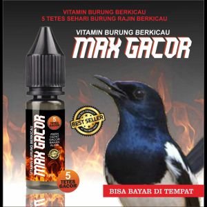 Max Gacor Vitamin Burung Berikau Kenari