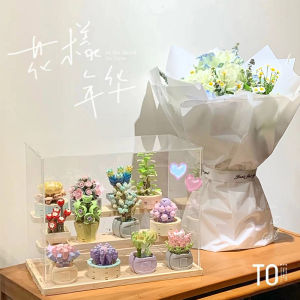 ของเล่นตัวถังปลูกพืชแบบมีศักยภาพสำหรับเด็กผู้หญิงของ JAKI วันเกิด ของตกแต่งห้อง ของเล่นสร้างสรรค์ ของเล่นเสริมศักยภาพ