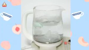 2 in 1 Baby Squeeze Feeder Food Baby Food Squeezer Baby Food Feeder Makanan Bayi Feeder Silicone Spoon Silicone Nipple