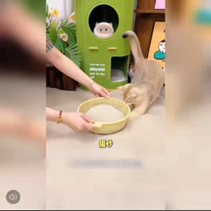 MeowShop Peach Harum Setiap Hari Penghapusan Bau Berkesan Cat Litter Plant Cassava 1.25kg Peach Flavor Cat Litter with ≥99% Odor Removal 木薯猫砂
