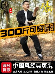 Large Size Tang Style Hanfu Mens Martial Arts Mountain Zen Meditation Costume New Chinese Wu Dangshan Practice Tai Chi Clothes