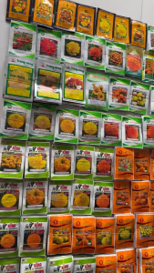 (Gói 1gr) Hạt Giống Hoa Vạn Thọ Mỹ F1 Cao Lỡ Vàng Chanh SUPER B2 RỒNG VÀNG