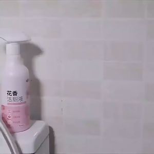 【Ready Stock】Floral Toilet Cleaning Liquid Toilet Bowl Cleaner Stain Removal Fragrance Pembersih Tandas Wangian Bunga 花香洁厕灵 马桶清洁剂