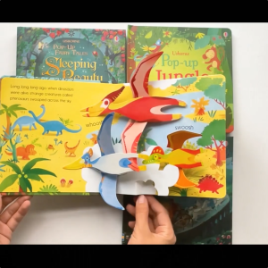 【In Stock】Usborne Activity 3D Pop-up Book Learning Tool for Montessori Education Lift The Flap Book Board Book English Picture Book Story Book Bedtime Reading Learning Educational Toy for Kids Toddler Birthday Gift