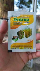 INSEKTISIDA SINTROP 80 WG 4 GRAM fipronil