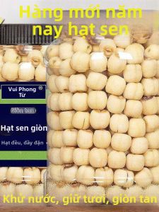 Hạt Sen Sẵn Ăn Hương Vị Gốc và Tiêu Muối