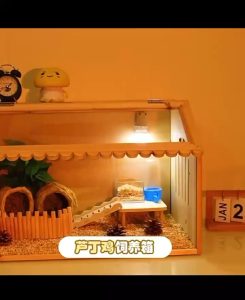 Luding Chicken Breeding Box Landscaping Special Box Pet Chicks Incubator Chicken Cage Chicken Coop