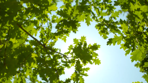 DIY Handmade Hut Model 智趣屋幸福一阁手工DIY小屋模型 Mainan Rumah Mini DIY Creative Girl House Toys Assemble Gift