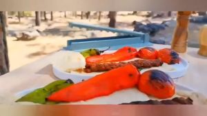 Single Row Kebab Maker: A Comprehensive Guide