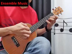 24 Inch Concert Ukulele for Kids and Adults
