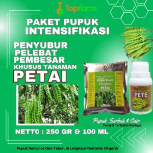Pupuk Buah Pete Ukuran Besar / Pupuk Booster Buah Pete / Pupuk Buah Pete / Pupuk Pelebat Buah Petey / Pupuk Khusus Petai / Pupuk Pete