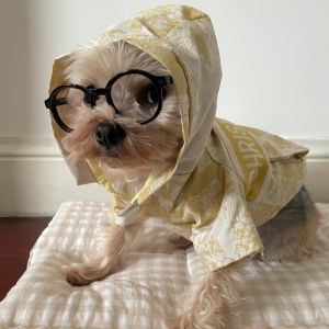 VOA | Pet Sunglasses for Photography Props Yorkie Shih Tzu Poodle Teddy Dogs