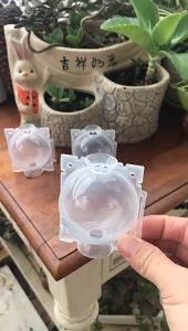 10 ชิ้น ตุ้มตอนกิ่ง สีขาวโปร่ง ตุ้มตอนพลาสติก ขยายพันธุ์พืช ตอนกิ่ง ตอนต้นไม้ ใช้ซ้ำได้