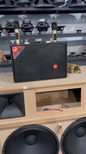 Loa kéo Malata Q9- 100w  loa kéo di động bass 2 tấc - Tặng kèm 2  micro không dây