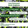 Buah Angkung Segar Obat Struk herbal alami 200 biji bonus 20 biji. 