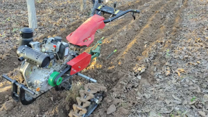 RRYY ไถเหล็กหล่อทวิภาคี ขนาดเล็ก ไถไมโคร ไถเหล็กแมงกานีส เครื่องมือไถคันรถไถนา คันไถนาไถเดินตามหลัง เหล็กหล่อหนา ไถสองด้าน ไถพลิก ไถดิน ไถเปิด ไถคันไถสามารถเลี้ยวซ้ายและขวา ทิศทางการเลี้ยวสามารถปรับได้