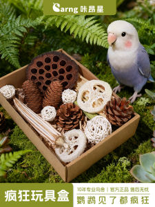 Kangxing Parrot Toy Natural Fiber Biting Chewing Interactive Pet Bird Cage Accessories De-stress Tooth Grinding Claw Wear