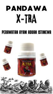 PANDAWA X TRA - jamu ayam petarung isi 175 PILL