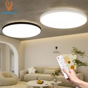 Dimmable Ceiling Lamp With Remote Control 3 colors Room Decor Led Ceiling Light Fixture For Living Room Bedroom corridor Modern