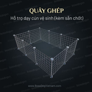 Quây ghép chó con (bộ 10 miếng kèm sẵn chốt + dây rút cố định) Hỗ trợ dạy cún vệ sinh đúng chỗ | BossDog